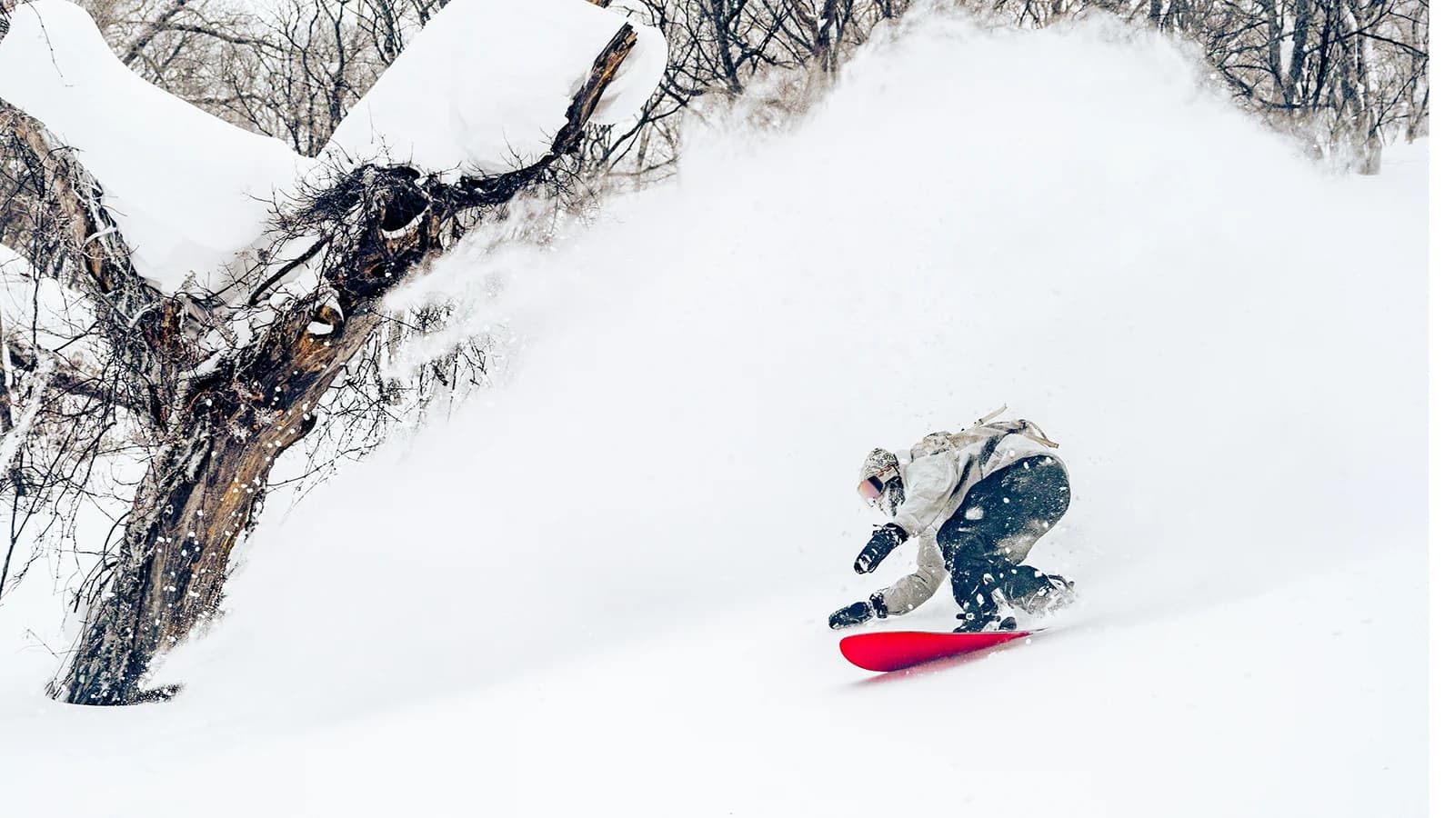 The Science Behind Niseko Powder Snow