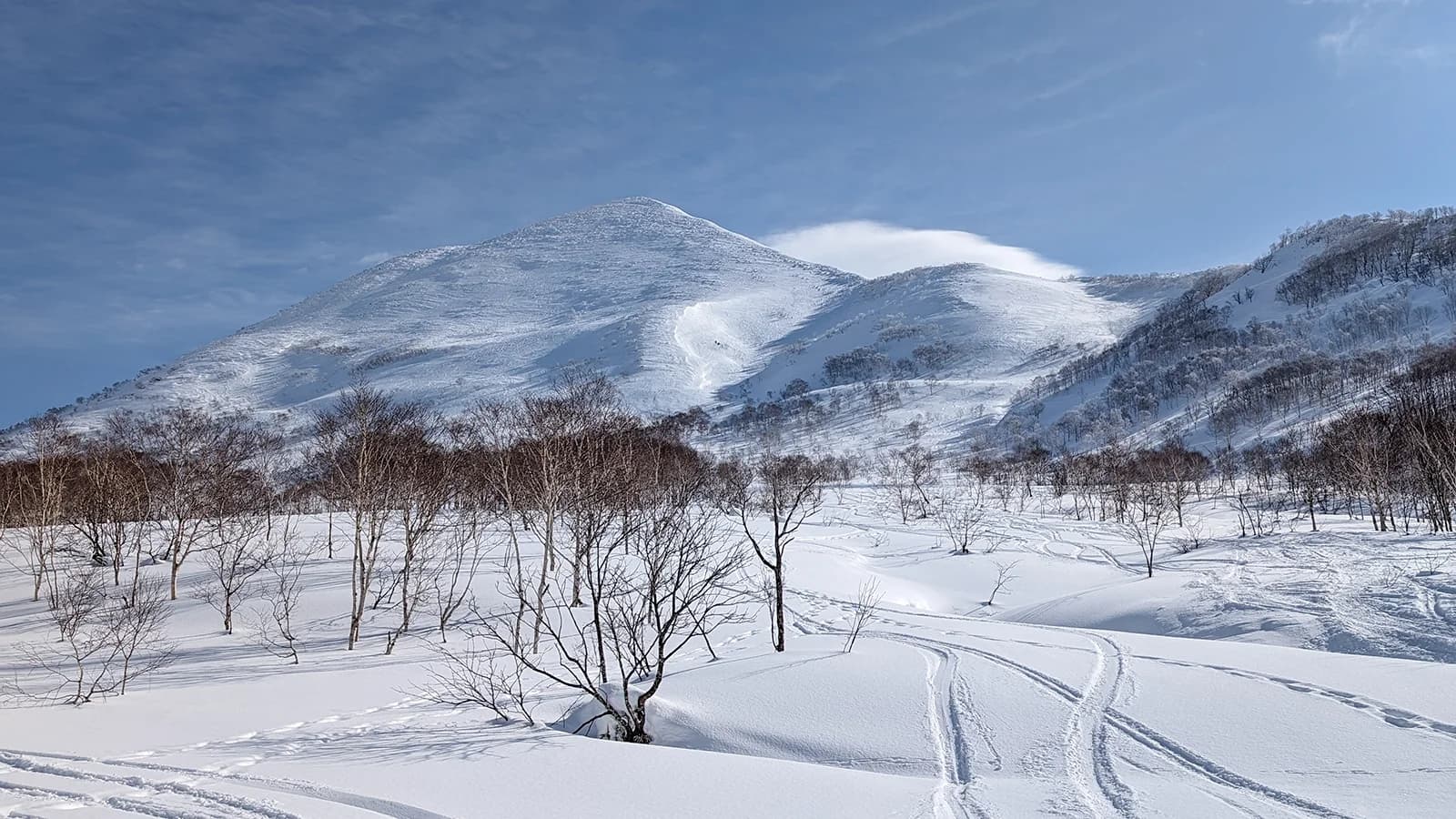 The Ultimate Niseko Ski Trip Planning Guide: Powder, Onsens, and Epic Runs